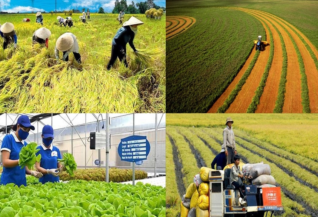 Nhiều doanh nghiệp, hợp tác xã và nông dân còn gặp khó khăn khi tiếp cận tín dụng. Ảnh minh họa.
