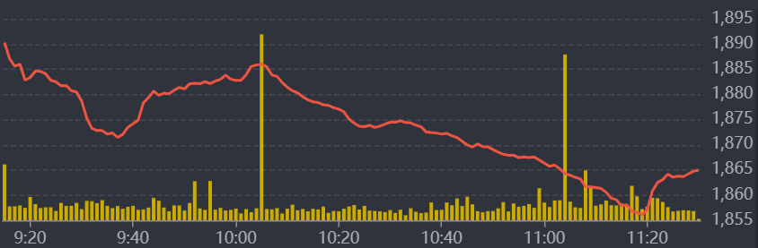 Diễn biến VN-Index sáng nay.