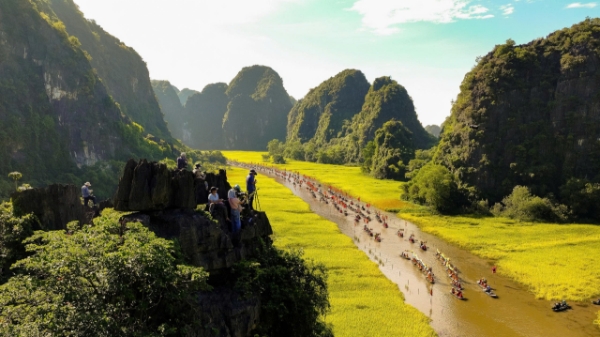 Mùa vàng Tam Cốc khiến du khách mê mẩn giữa non nước di sản