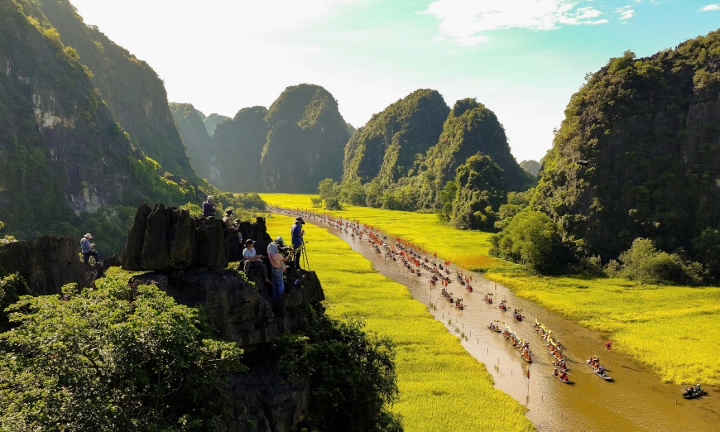 Mùa vàng Tam Cốc khiến du khách mê mẩn giữa non nước di sản