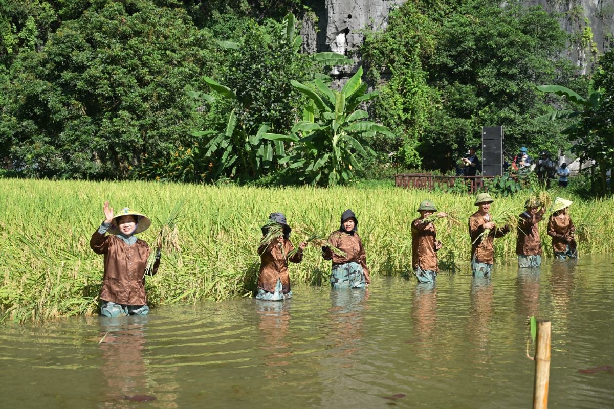 Người dân địa phương tái hiện hình ảnh lao động nông nghiệp truyền thống.