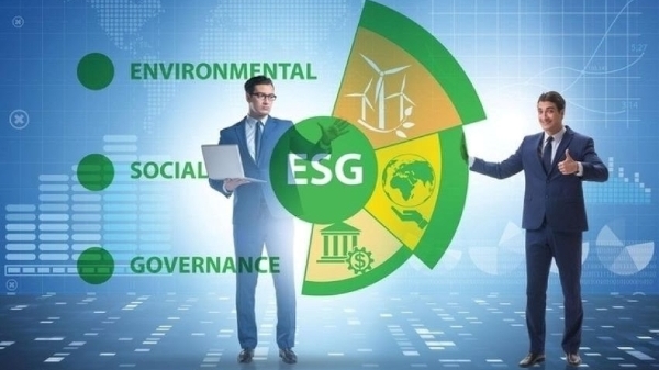 Phân tầng tiêu chí áp dụng khung tiêu chuẩn ESG theo quy mô doanh nghiệp