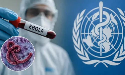 Bộ Y tế đề nghị siết chặt kiểm soát dịch Ebola tại các cơ sở y tế