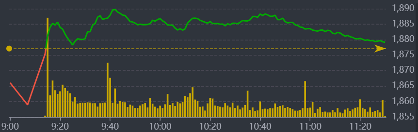 Diễn biến VN-Index sáng nay.