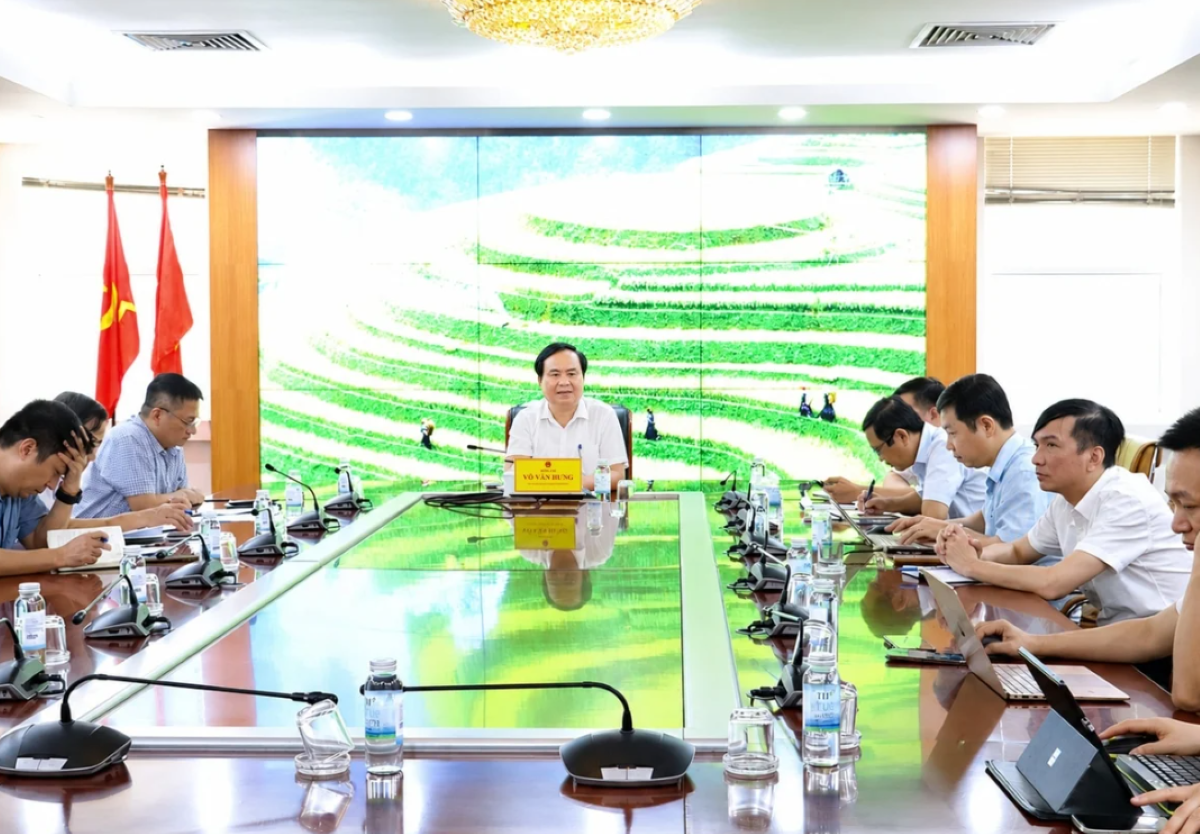 Thứ trưởng Võ Văn Hưng chủ trì cuộc họp.