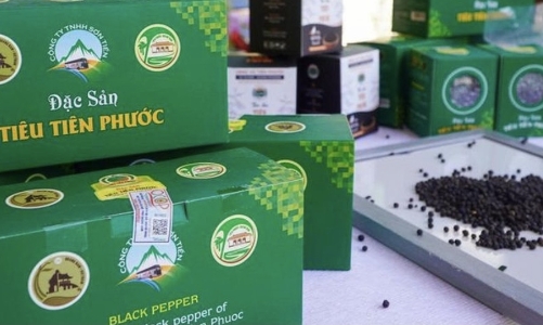 “Tien Phuoc” pepper officially granted geographical indication protection