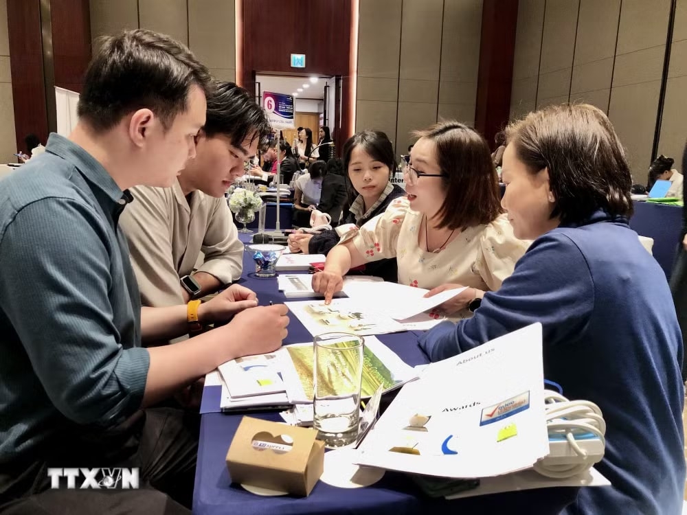 Doanh nghiệp Thái Lan tiếp thị thương hiệu đến doanh nghiệp Việt Nam. Ảnh: TTXVN
