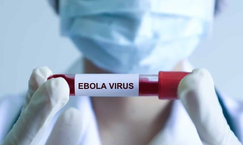 Bộ Y tế: Hướng dẫn mới về chẩn đoán, điều trị bệnh do virus Ebola