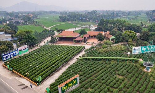 Doanh nghiệp Hải Phòng và Thái Nguyên kết nối giao thương đa ngành, mở rộng thị trường