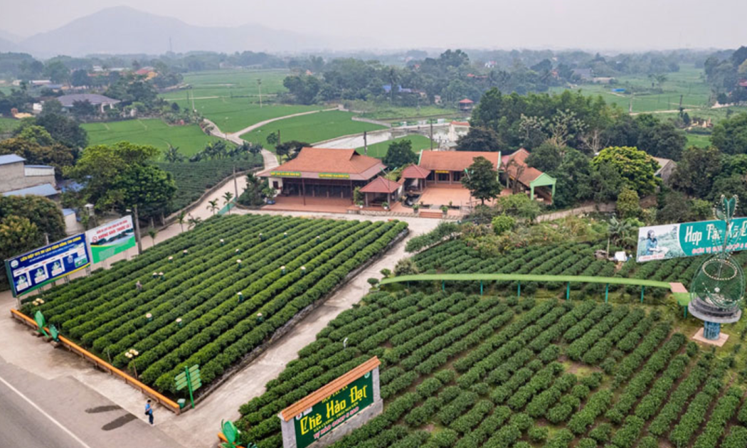 Doanh nghiệp Hải Phòng và Thái Nguyên kết nối giao thương đa ngành, mở rộng thị trường