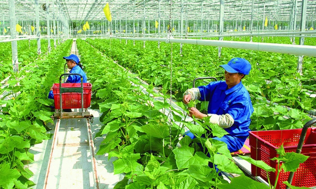 Điều kiện để doanh nghiệp được hỗ trợ kinh doanh bền vững