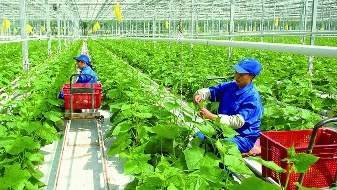 Doanh nghiệp đang triển khai dự án xanh, dự án đáp ứng tiêu chí tuần hoàn và áp dụng khung tiêu chuẩn môi trường- xã hội- quản trị (ESG) theo quy định sẽ được hỗ trợ kinh doanh bền vững. Ảnh minh họa