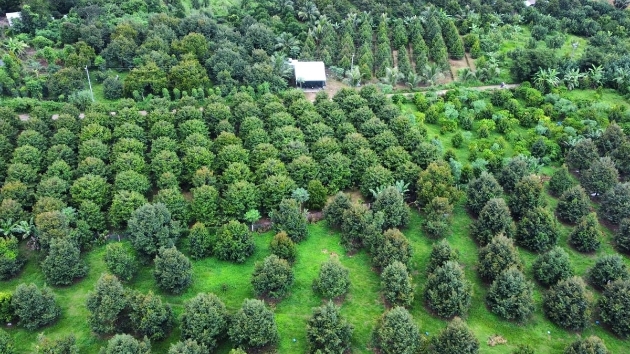 Vietnam accelerates digital traceability system for agricultural exports