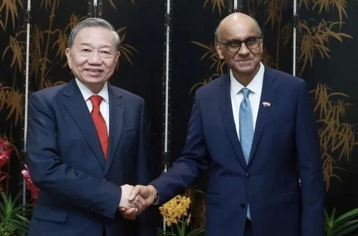 Tổng Bí thư, Chủ tịch nước Tô Lâm hội kiến Tổng thống Singapore Tharman Shanmugaratnam ngày 12/5/2025. Ảnh: TTXVN