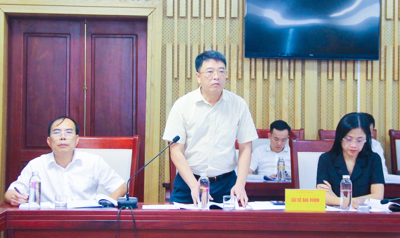 Lãnh đạo Sở Xây dựng Nghệ An tham gia ý kiến về quy hoạch phát triển gắn với hạ tầng giao thông. Ảnh: Mai Hoa