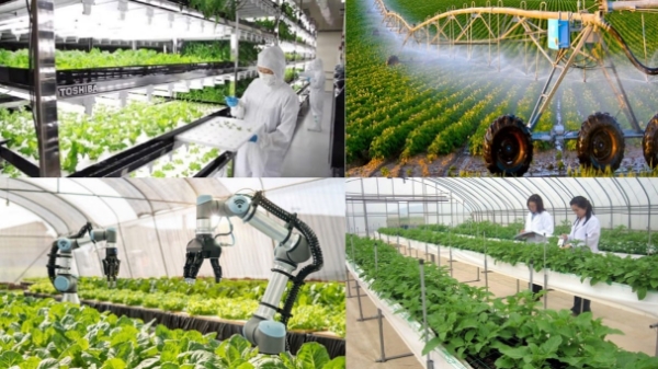 Tăng cường hợp tác giao thương Việt Nam - Trung Quốc trong nông nghiệp