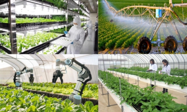 Tăng cường hợp tác giao thương Việt Nam - Trung Quốc trong nông nghiệp
