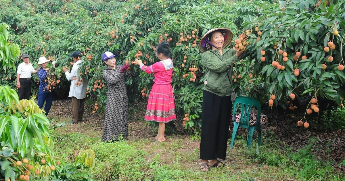 Triển khai đồng bộ giải pháp thúc đẩy tiêu thụ...