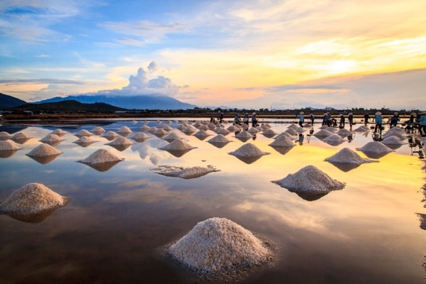 Nghề muối hiện vẫn không nuôi nổi diêm dân.