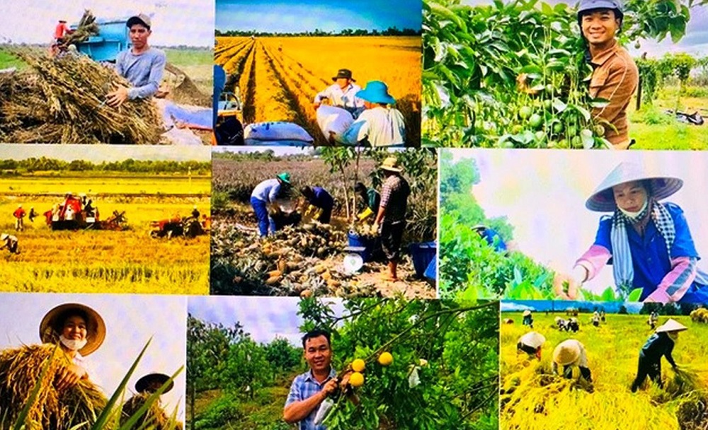 Nông dân Việt Nam với sự dẻo dai, thông minh và sáng tạo đã góp phần tạo nên kỳ tích của ngành nông nghiệp. Ảnh minh họa.