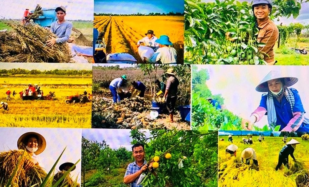 Nông dân Việt Nam với sự dẻo dai, thông minh và sáng tạo đã góp phần tạo nên kỳ tích của ngành nông nghiệp. Ảnh minh họa.