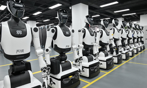Robot hình người giá rẻ: 