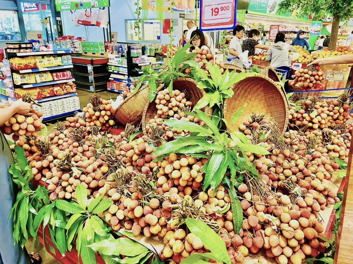 Bài toán tiêu thụ vải thiều đang chuyển từ tư duy “giải cứu mùa vụ” sang tổ chức chuỗi giá trị.&nbsp;
