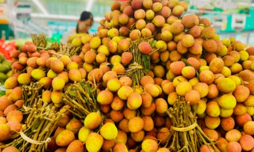 Vải thiều sắp “phủ đỏ” hệ thống bán lẻ hiện đại