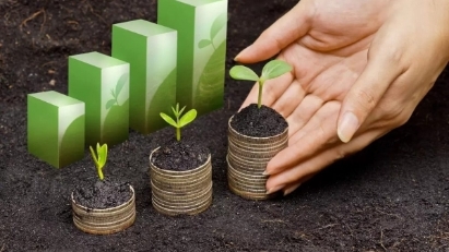 Australia commits $10mln to support climate-focused startups in Vietnam