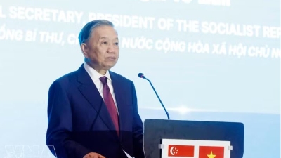Technology set to become key pillar in Vietnam-Singapore cooperation: Top leader