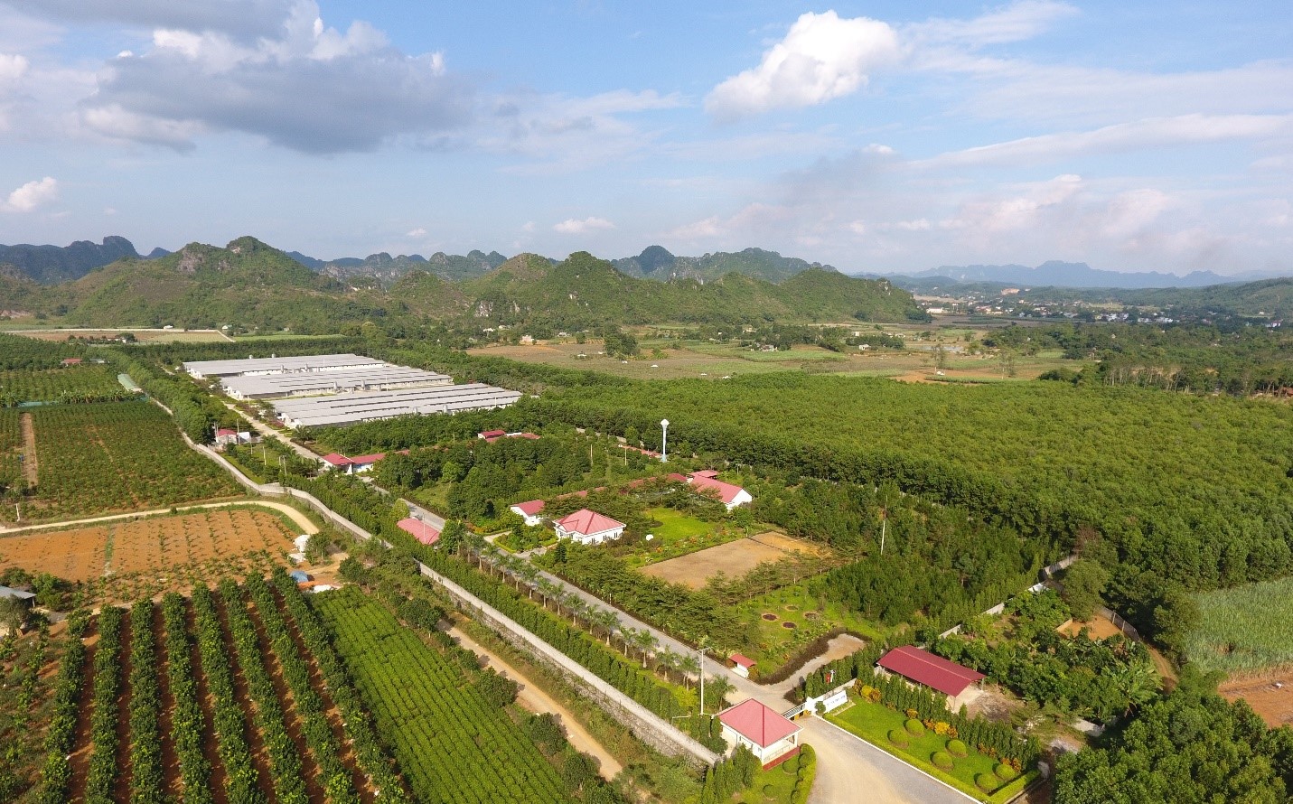 C.P. Vietnam’s integrated Feed-Farm-Food model in Vietnam. Photo: CP