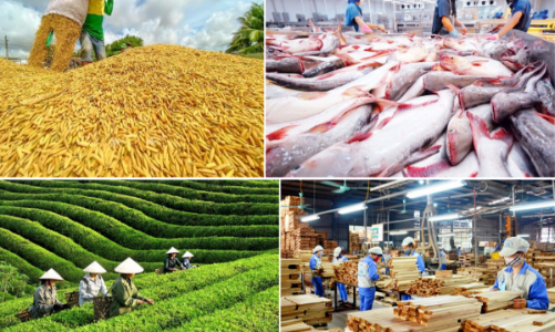 Xuất khẩu nông lâm thủy sản 5 tháng đầu năm 2026 đạt hơn 30,6 tỷ USD