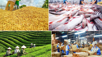 Agro-forestry-fishery exports hit $30.6 bln in Jan-May period