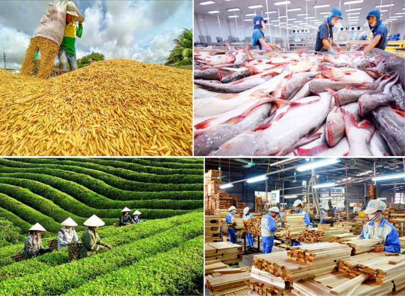 Agro-forestry-fishery exports hit $30.6 bln in Jan-May period