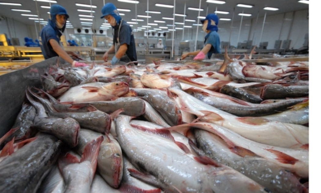 VietAgros 2026: Thúc đẩy chuyển đổi xanh và số hóa ngành thủy sản