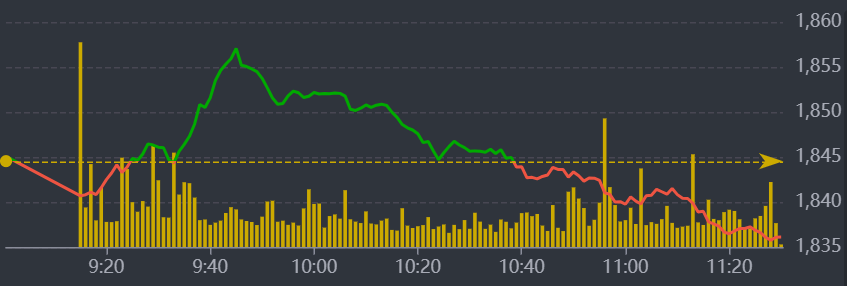 Diễn biến VN-Index sáng nay.