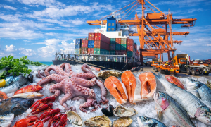 Xuất khẩu thủy sản tăng hơn 10%, ghẹ rộng cửa vào Mỹ, tôm tiếp tục chịu sức ép