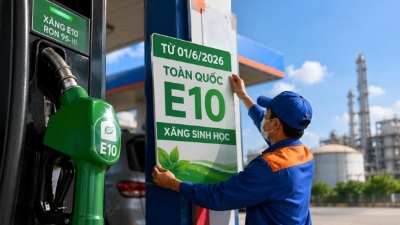 Fuel firms tasked to ensure stable supply of E10 biofuel gasoline