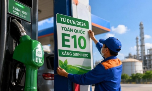 Fuel firms tasked to ensure stable supply of E10 biofuel gasoline