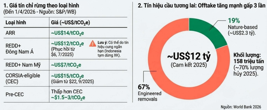 Giá tín chỉ carbon rừng theo loại hình