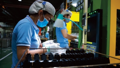 Critical connections between FDI and domestic enterprises