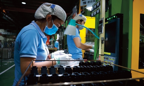 Critical connections between FDI and domestic enterprises