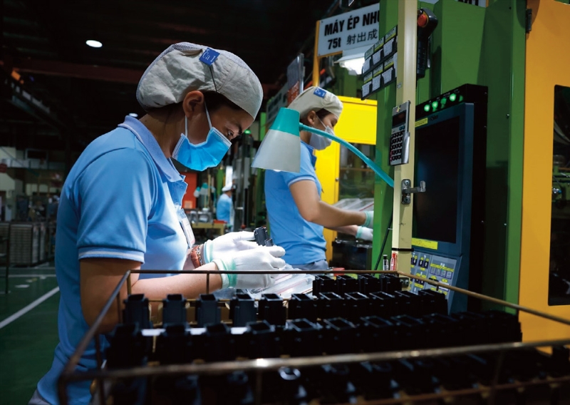 Critical connections between FDI and domestic enterprises