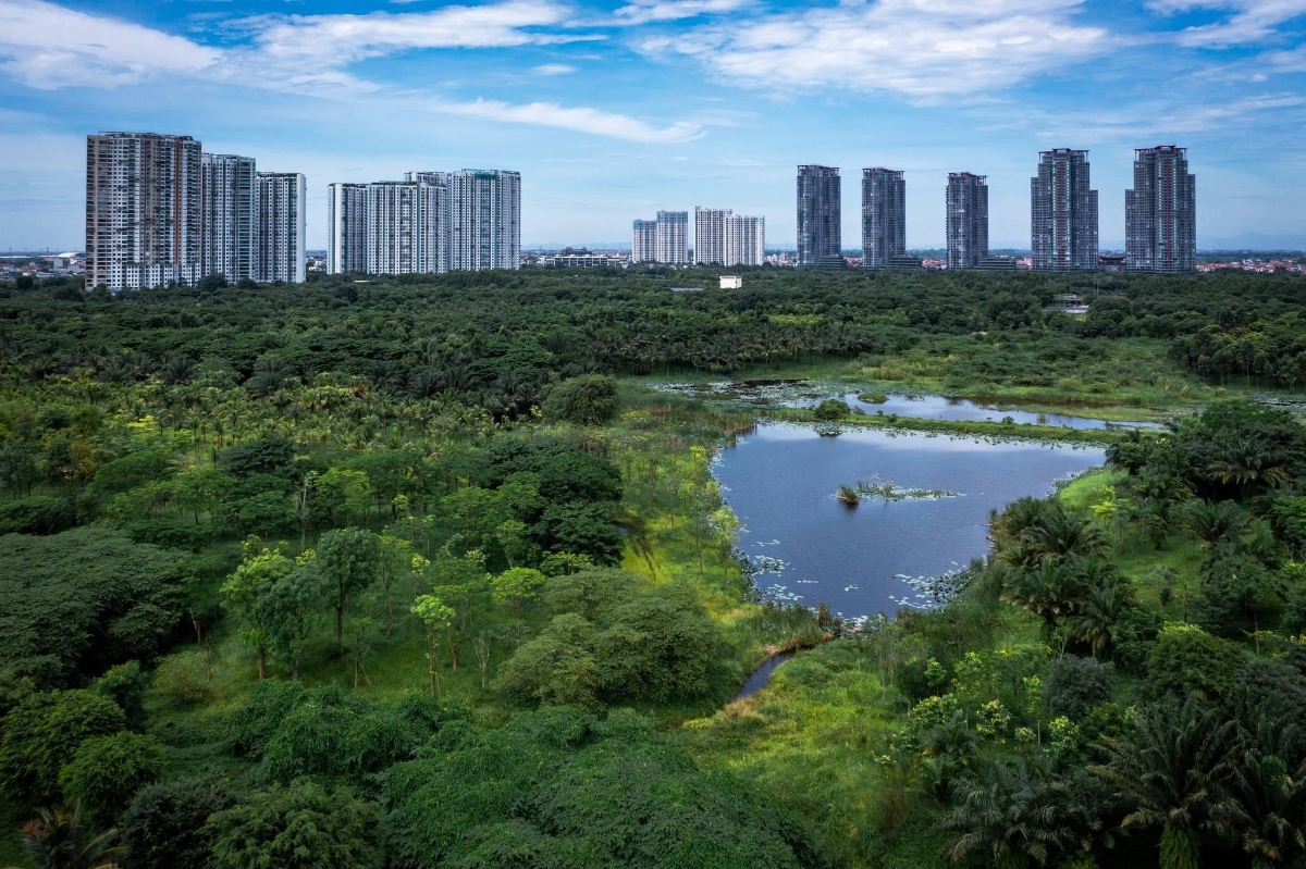 Một góc thành phố xanh Ecopark Hưng Yên. Ảnh: Ecopark.