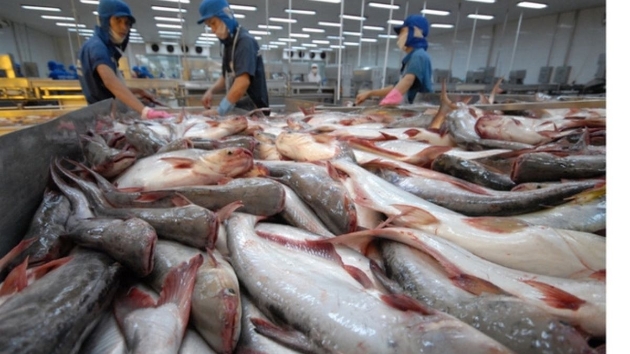 VietAgros 2026 promotes green transition and digitalization in fisheries