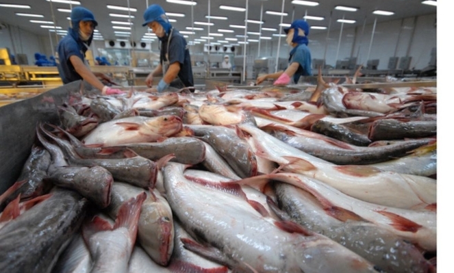 VietAgros 2026 promotes green transition and digitalization in fisheries