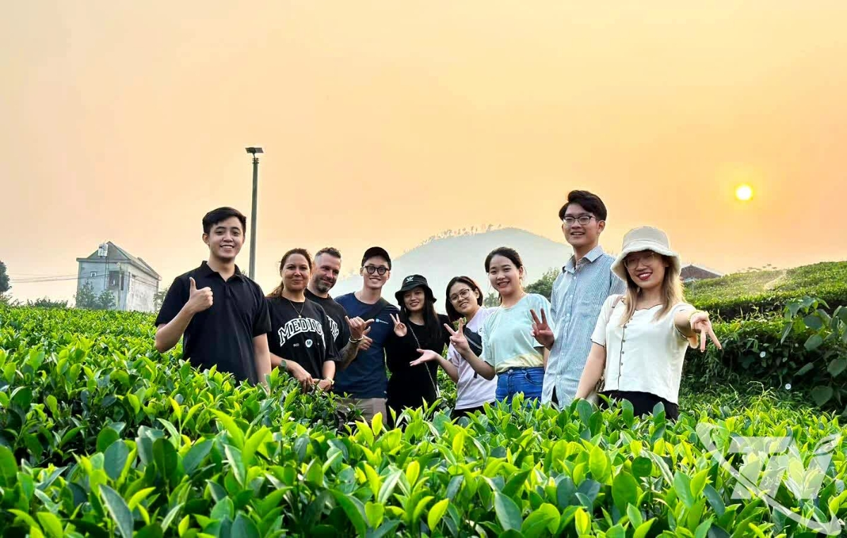 Các dự án du lịch gắn với văn hóa trà sẽ góp phần quan trọng trong quảng bá thương hiệu chè Thái Nguyên ra thị trường trong và ngoài nước.