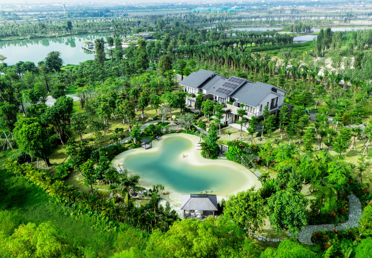 Không gian sống xanh tại khu rừng Eco Retreat. Ảnh dự án.
