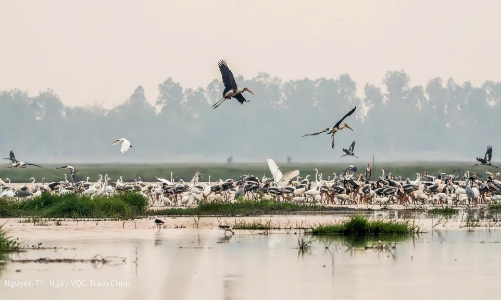 Việt Nam và WWF Hoa Kỳ tăng cường hợp tác bảo tồn thiên nhiên, ứng phó biến đổi khí hậu