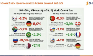 Chuyên gia: Xu hướng ngắn hạn VN-Index vẫn giảm, chỉ khoảng 18% cổ phiếu có khả năng tăng giá 